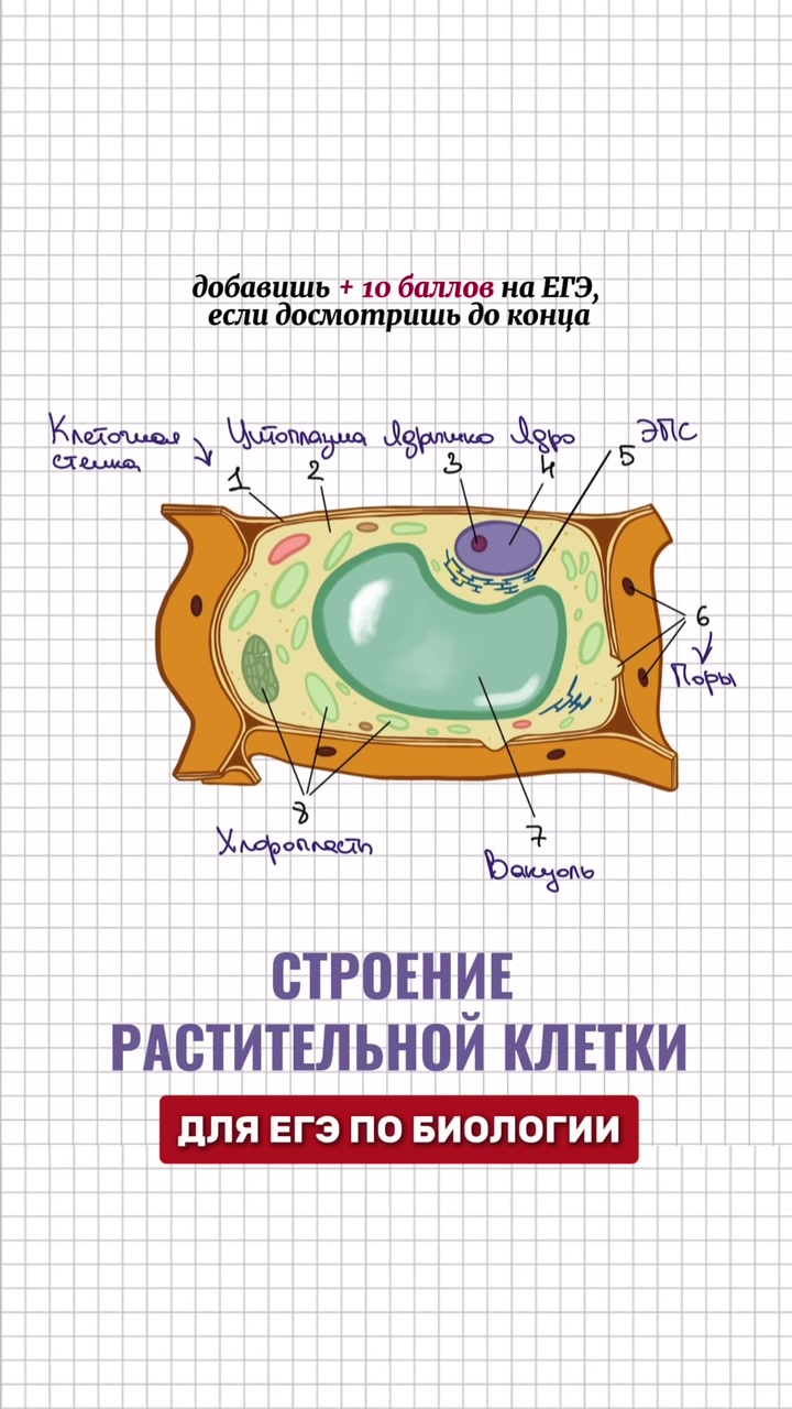 @Алёна Бриз