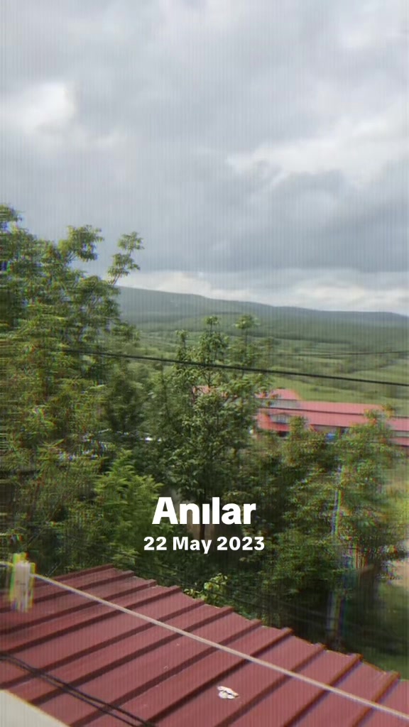 @Ayşegül Bozkurt