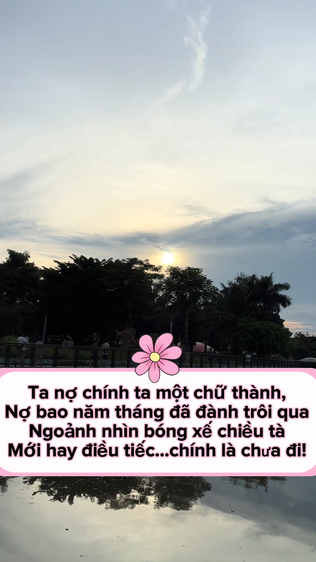 @Mquanhjhj