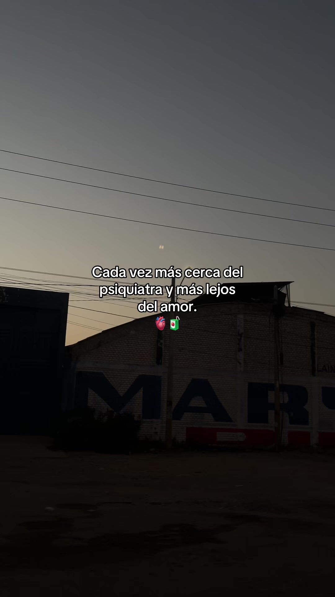 @Gatocix 🐱