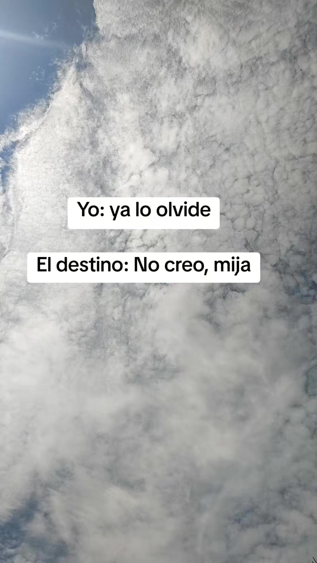 @Yuri317