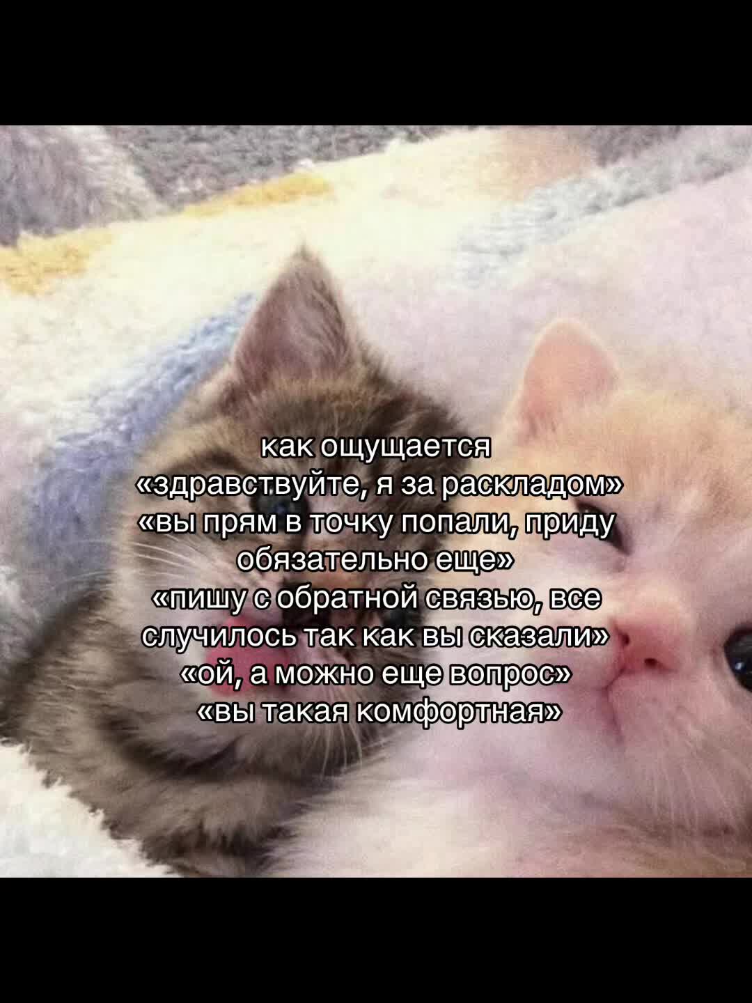 @Анна Таролог🤍