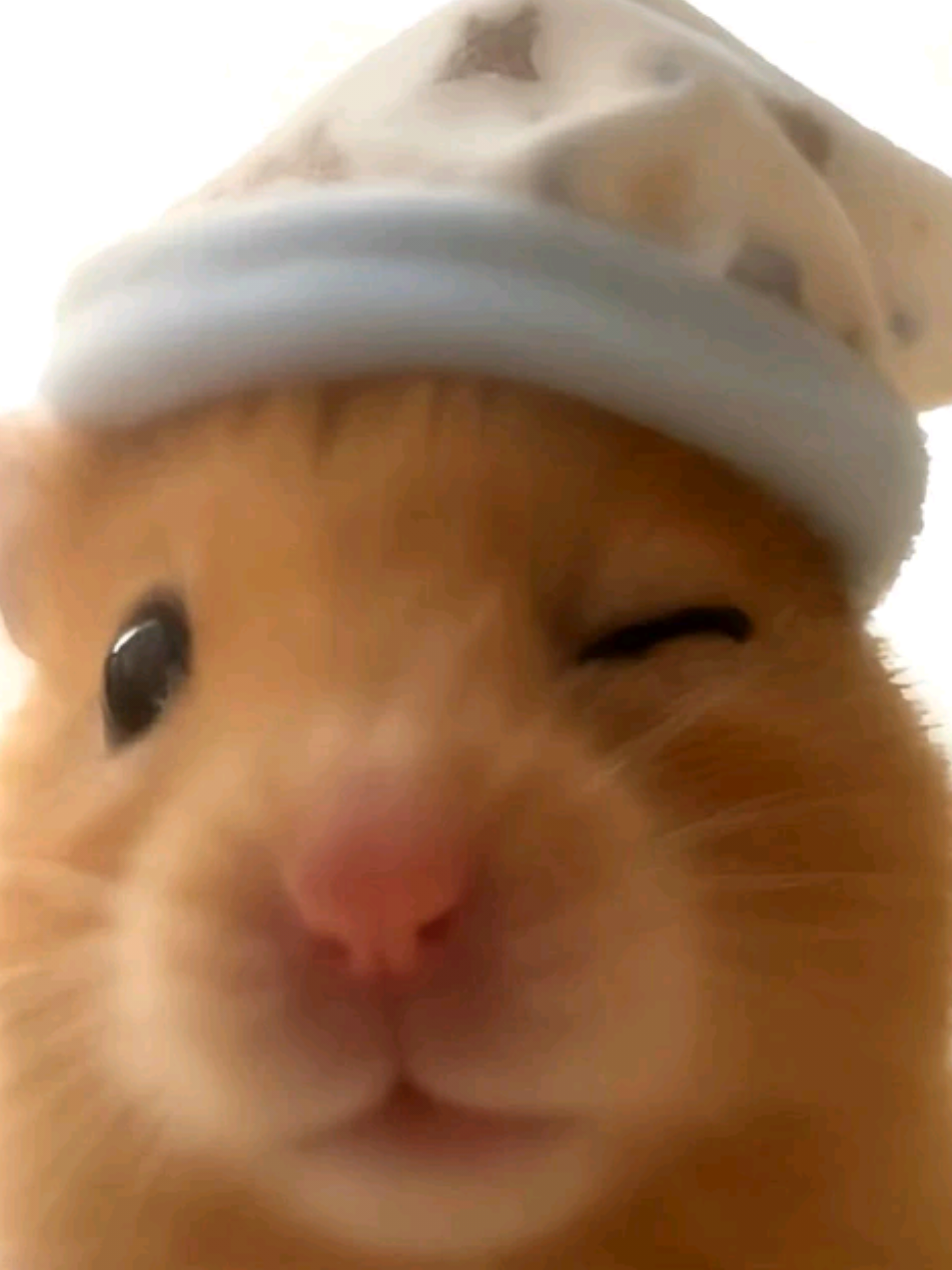 @๐๐ช๐ท๐พ๐ฎ๐ต๐ช ๐