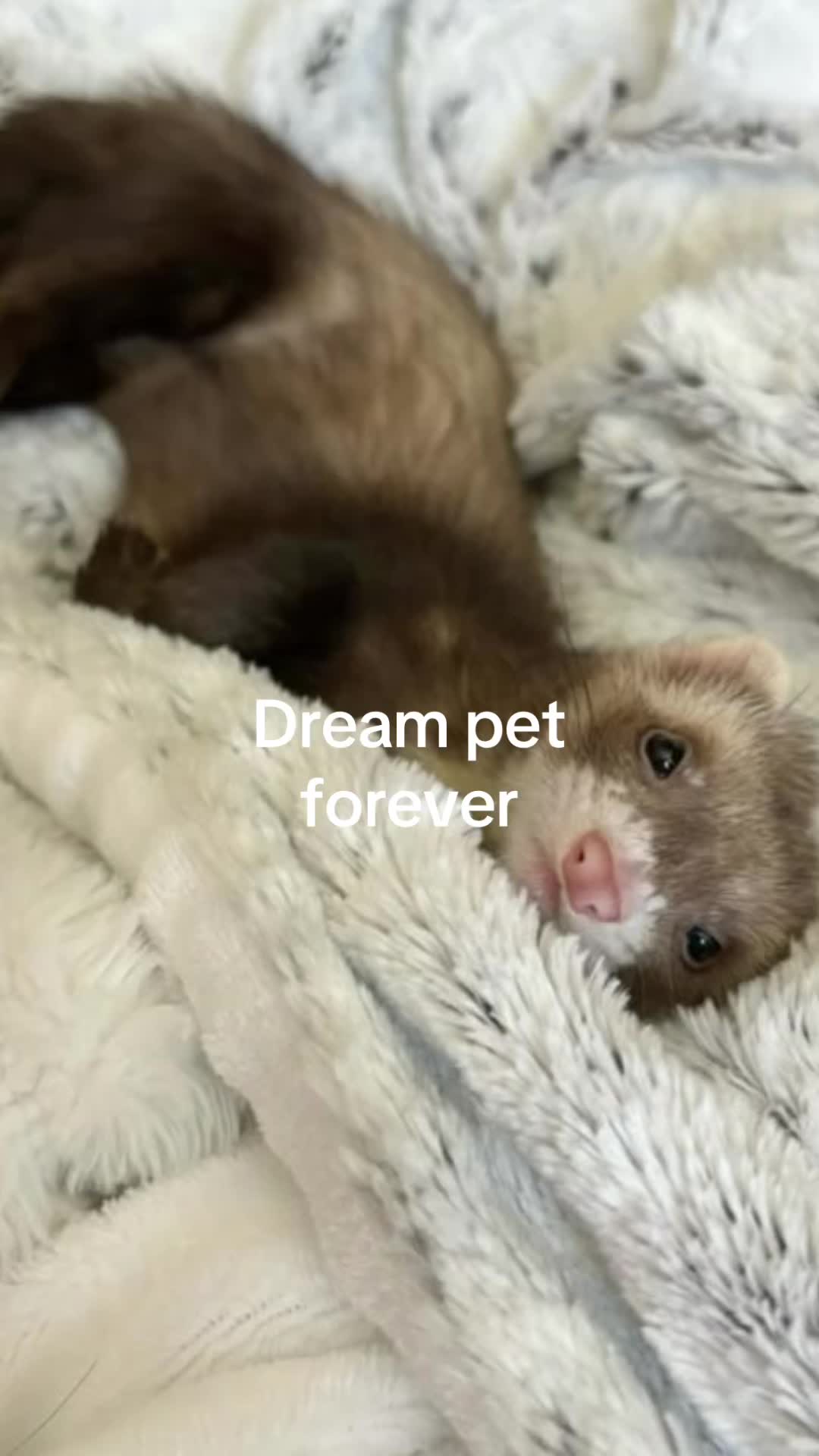 @Finja