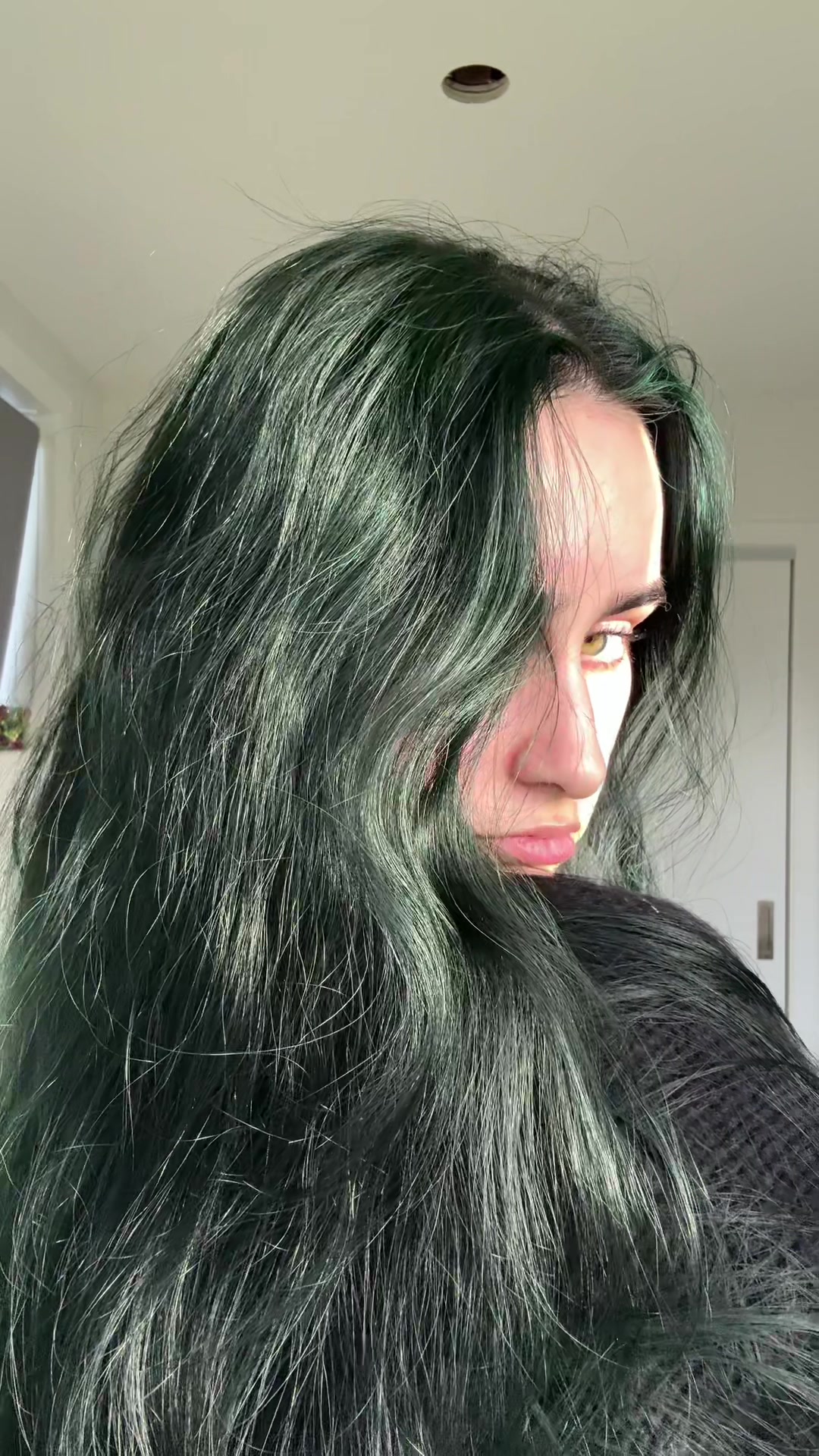@Shego