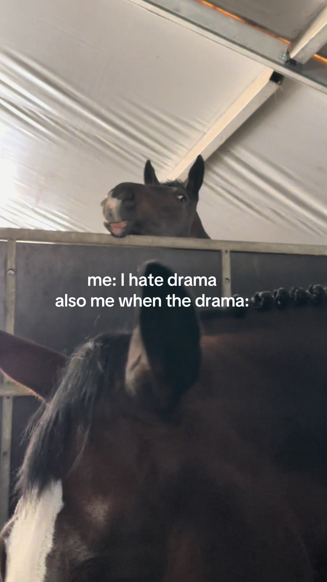 @monia dominiak