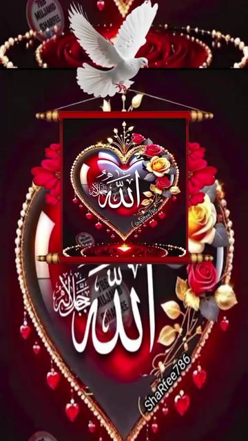 @dildarlashri2