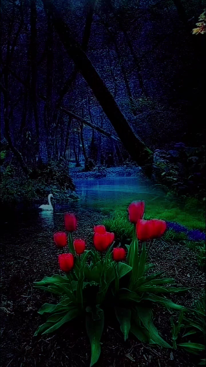 @ℚ𝕦𝕣𝕒𝕟 𝕂𝕒𝕣𝕚𝕞