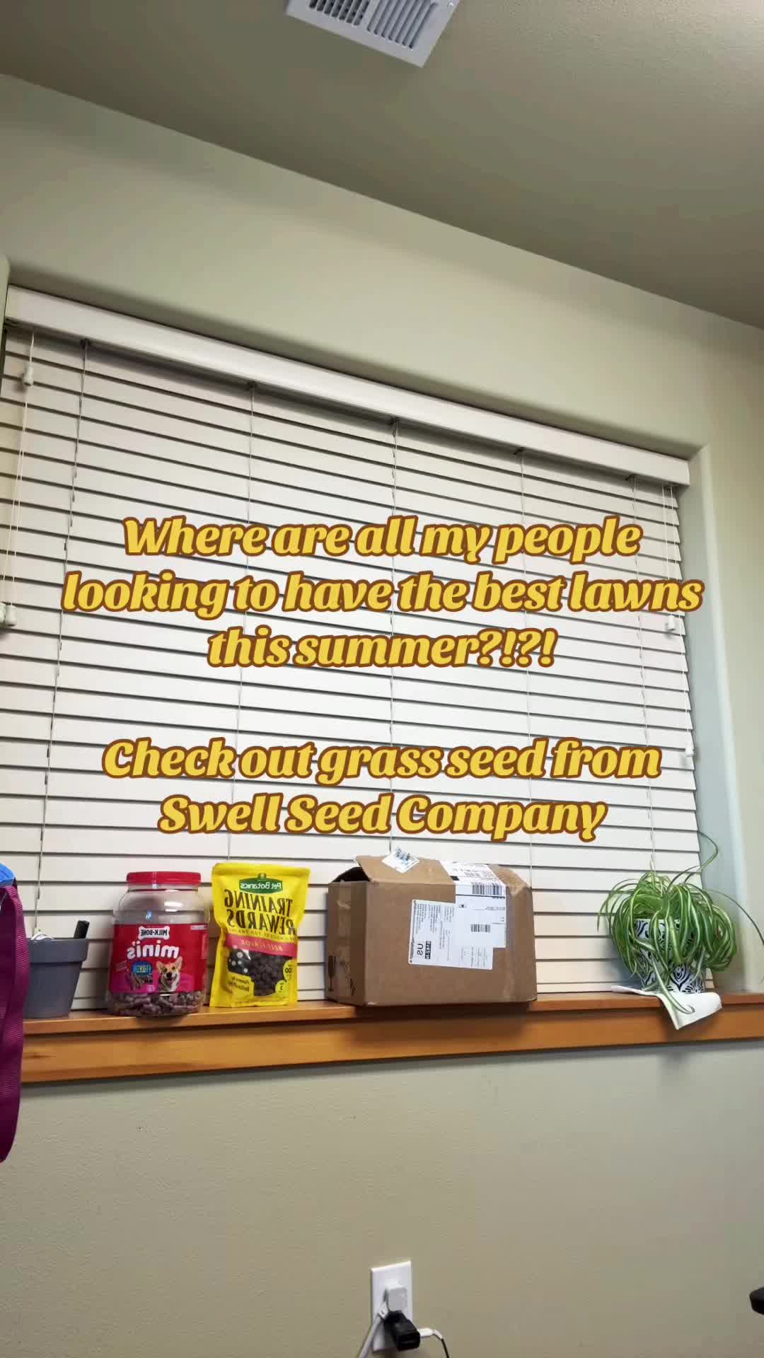 @Swell Seed Company