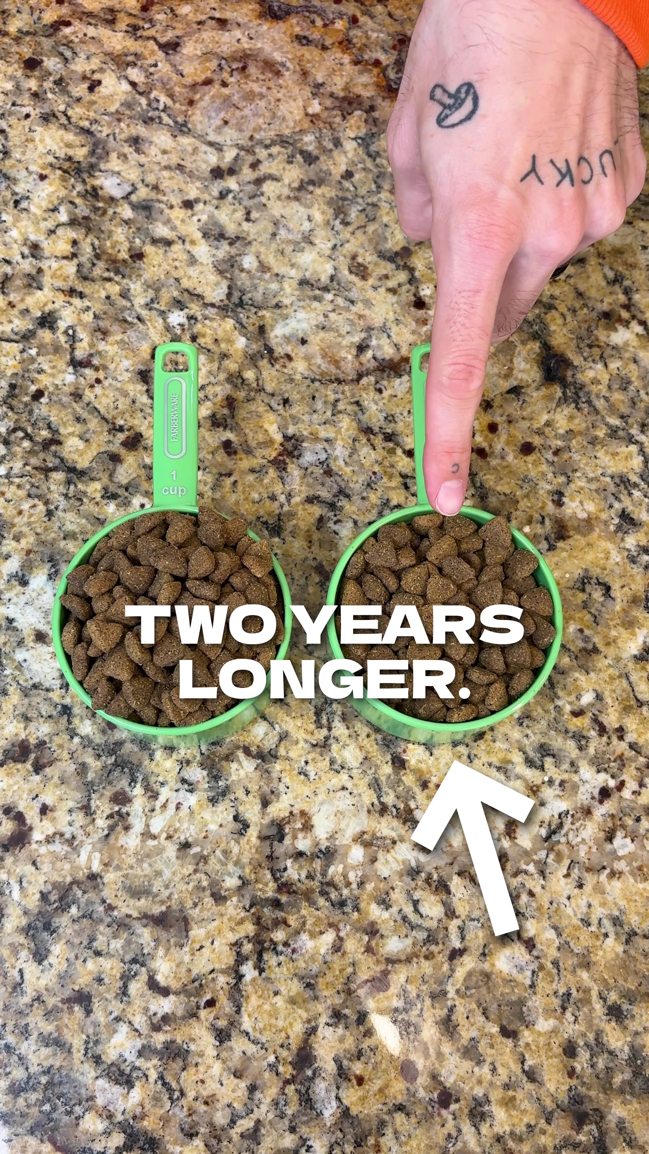 @The BK Pets - Dog Food Tips