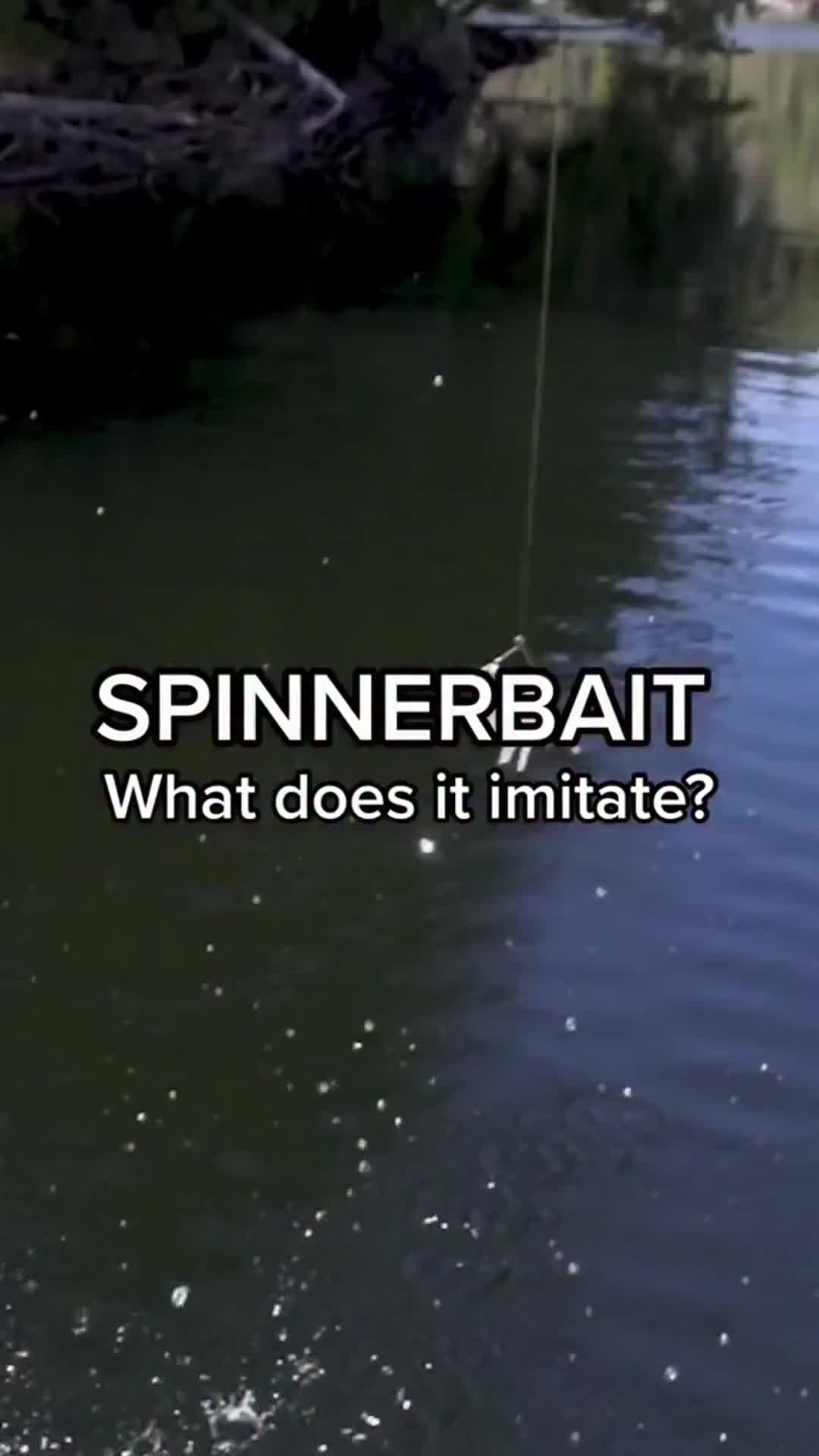 @Lunkerville