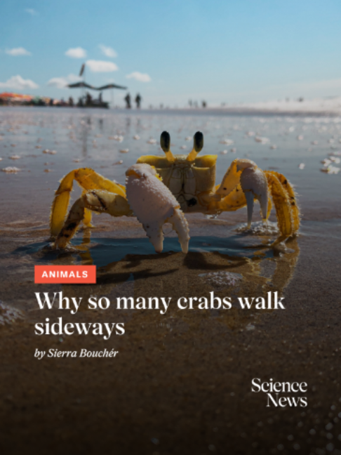 @Science News