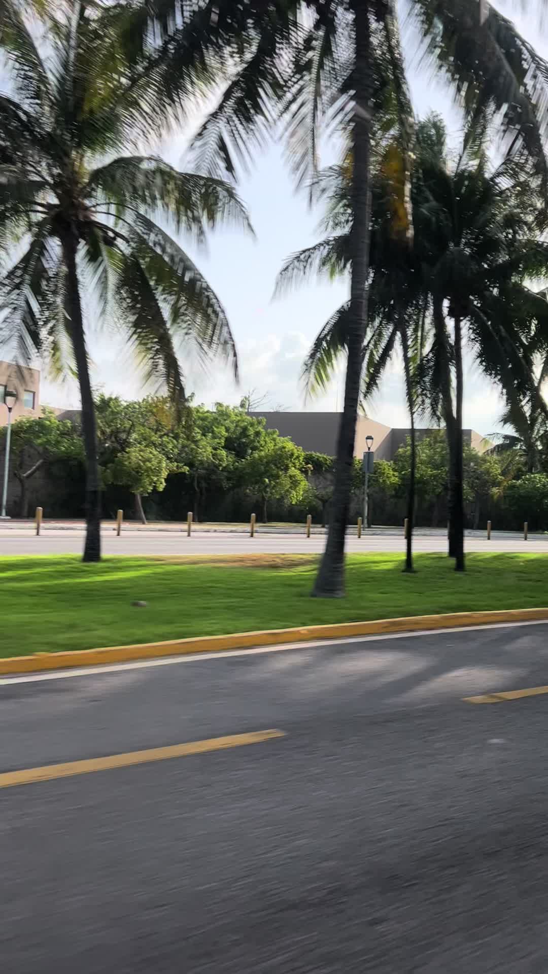 @araucokaren