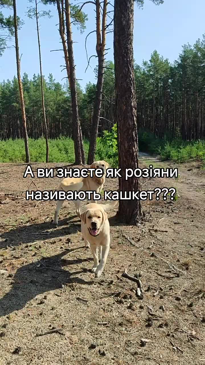 @Макс и Джесси
