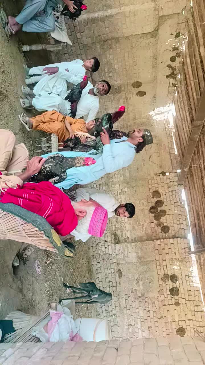 @Meer Taswarali⚔️⚔️🚩🚩
