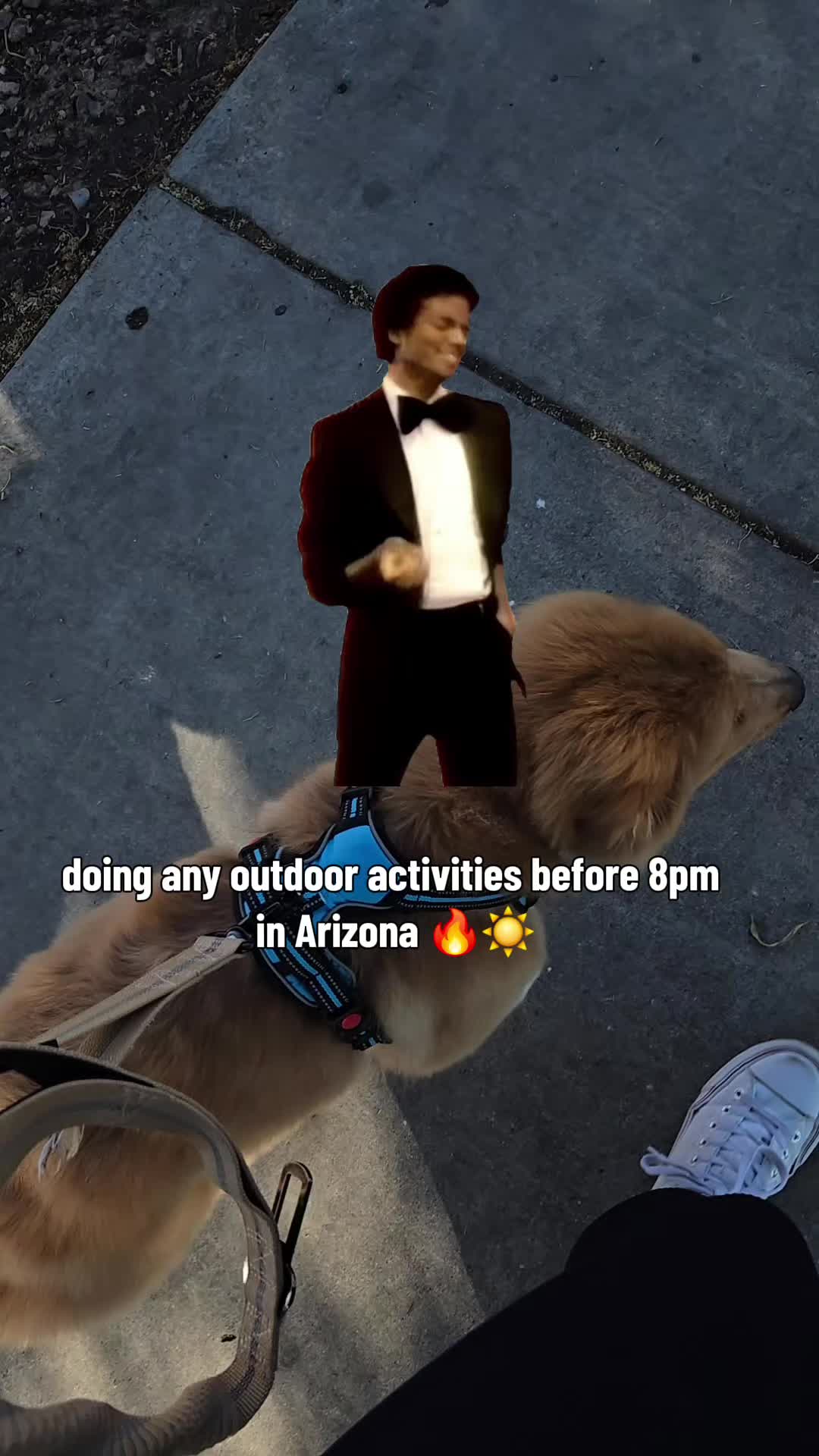 @fabbyulous