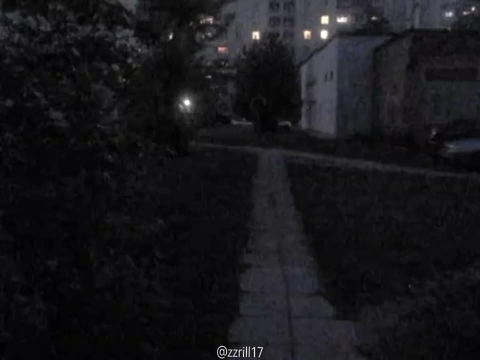 @zzrill17🐈&zwj;⬛