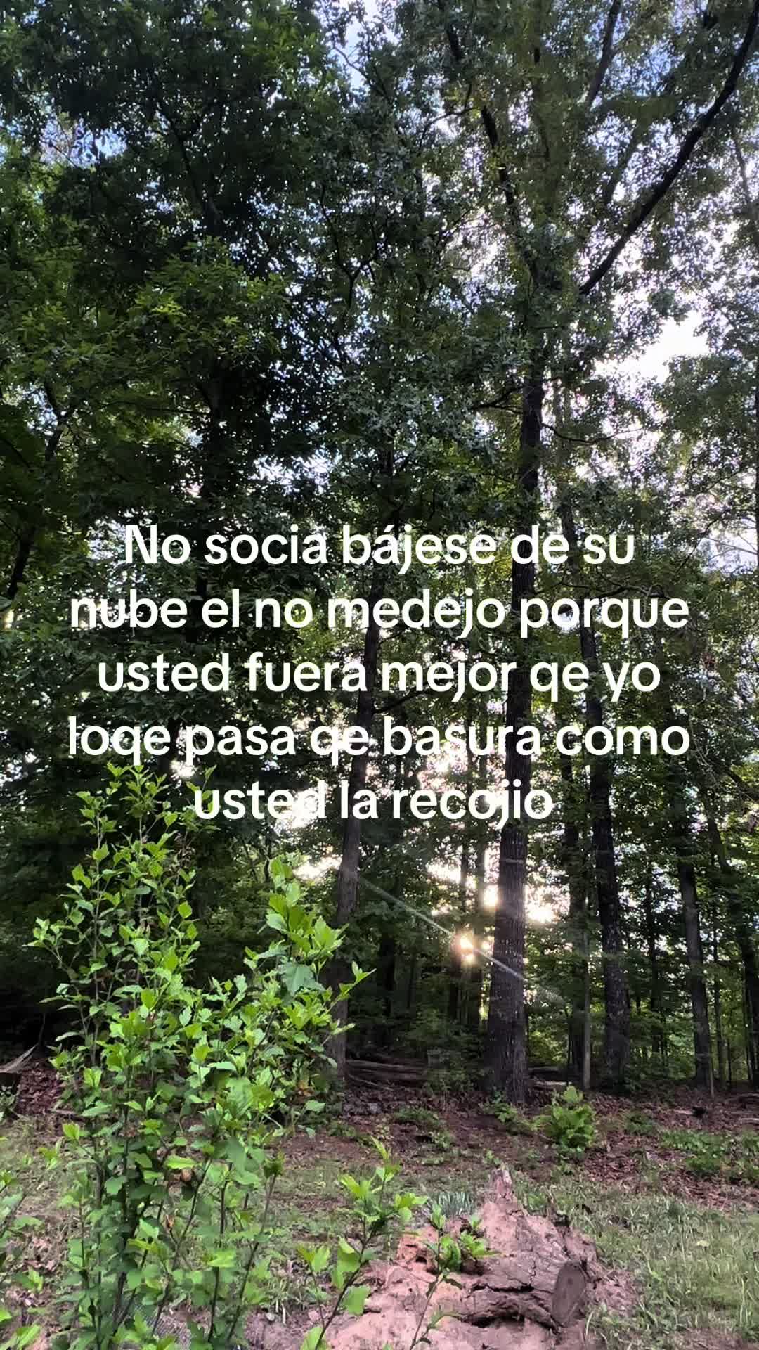 @bbchaparrita3