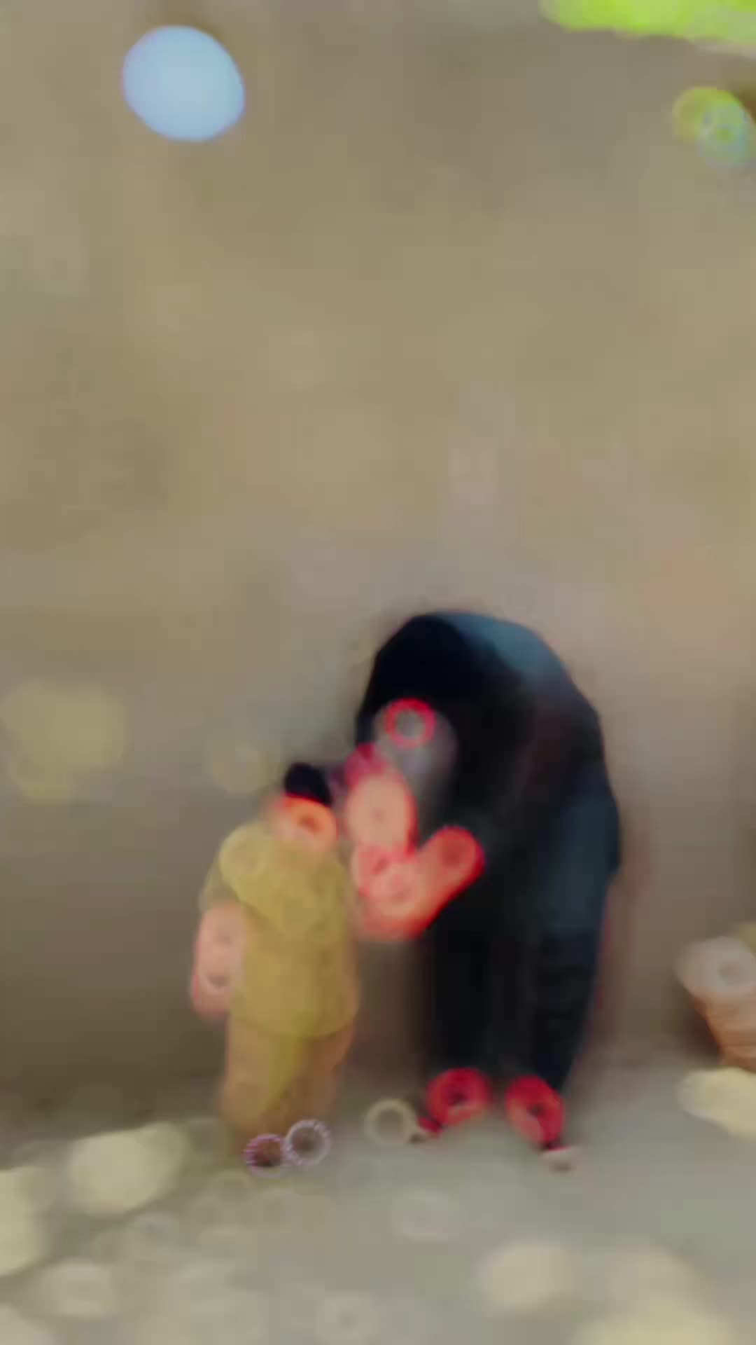 @ᴍʀ. ᴀʟɪ ❤👑
