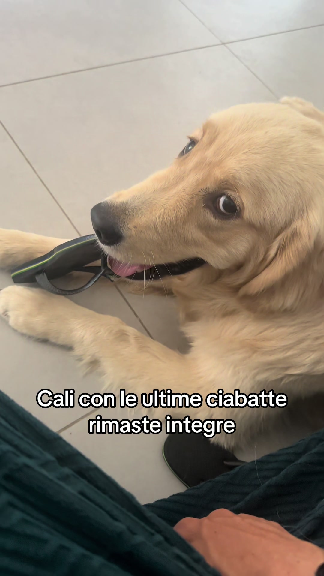 @Raffa&Cali