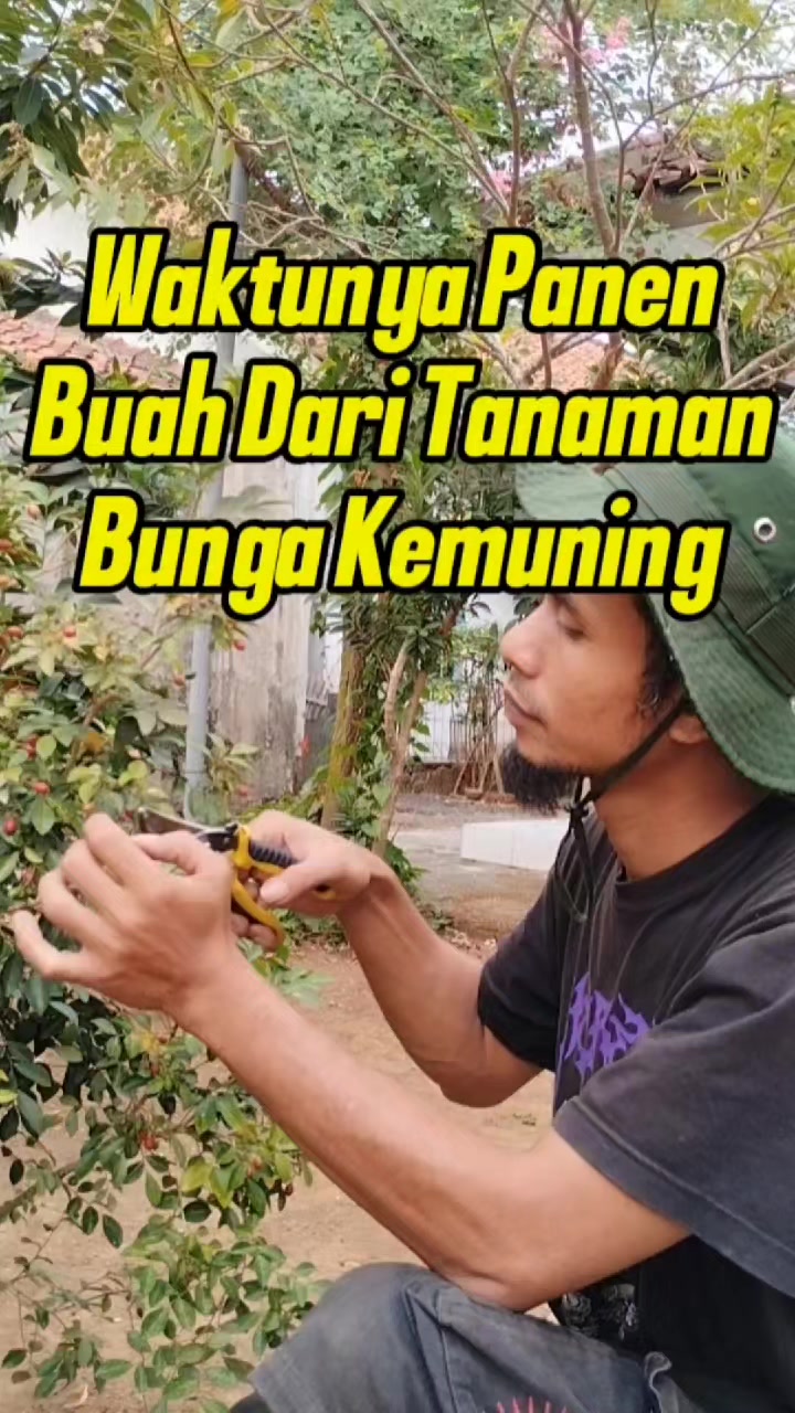 @Bukit Farming