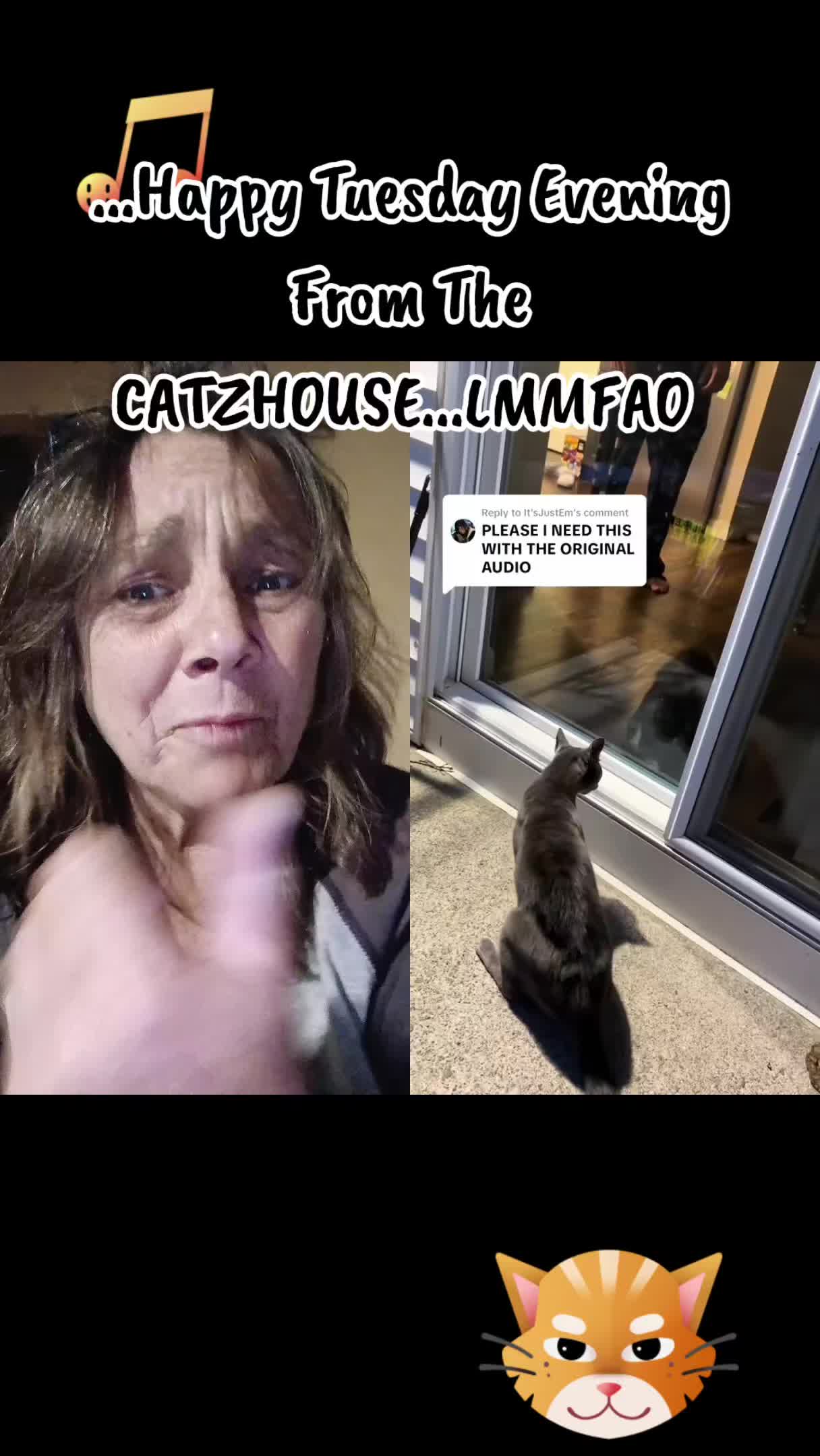 @Booh Hovey crazycatlady3