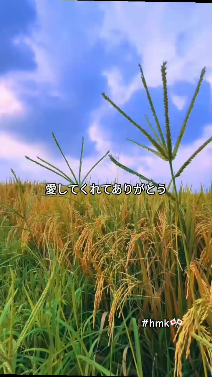 @について🇯🇵