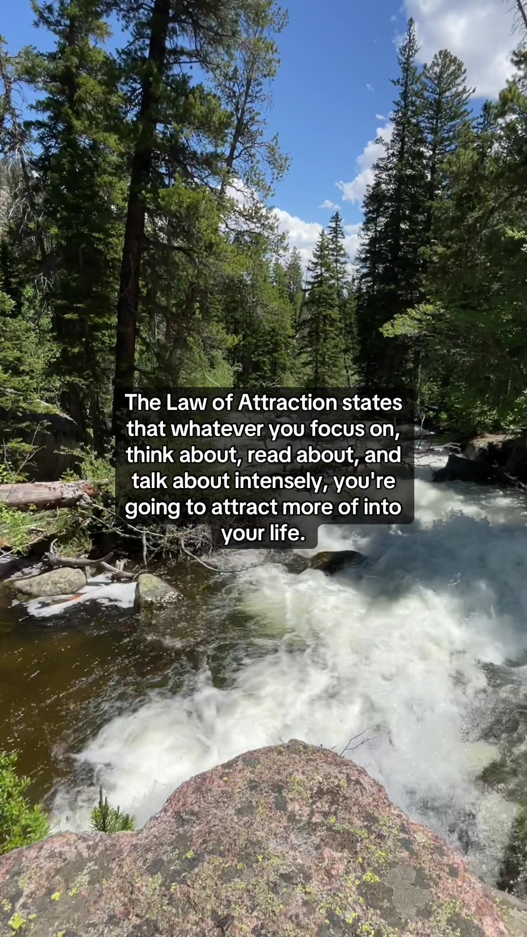 @HolisticHealingThoughts