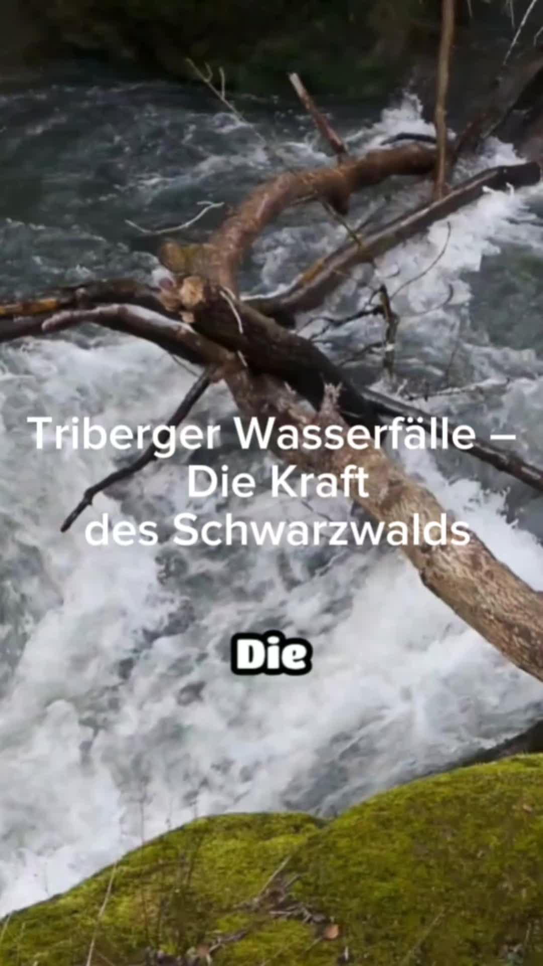 @DEU & EU Travel- Kurzvideos