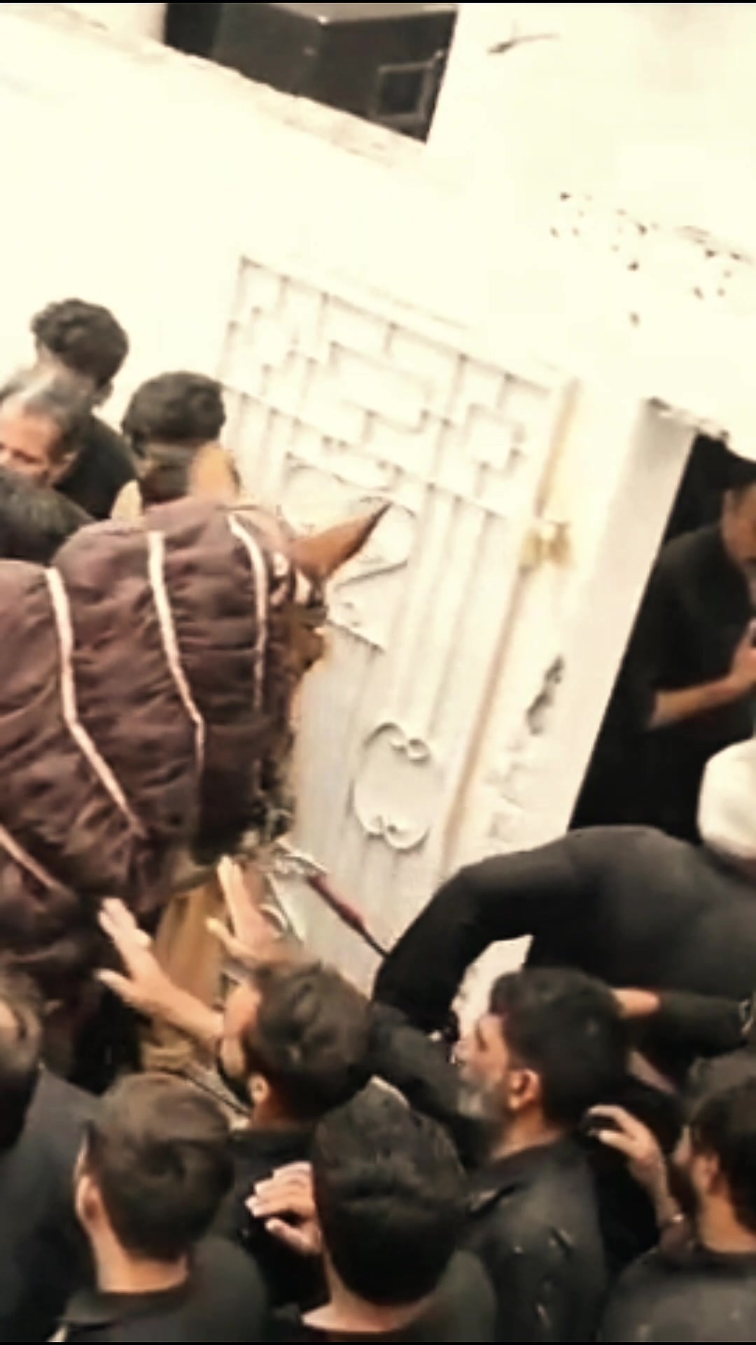 @مرکزی ذوالجناح تلہ گنگ