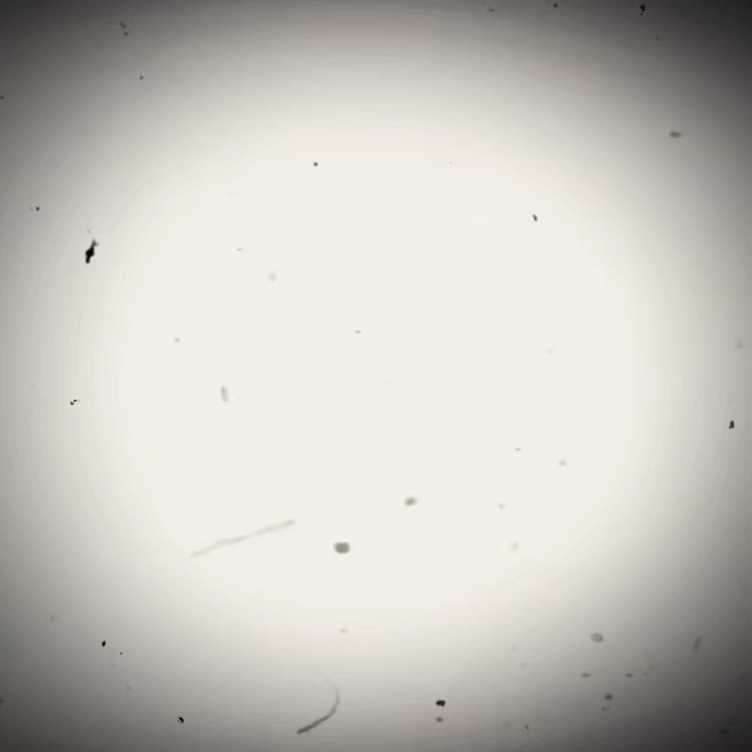 @Sonicedits