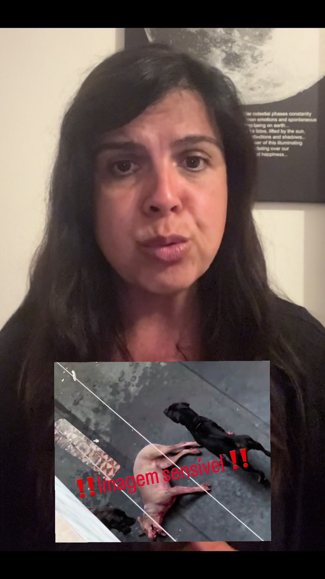 @Inês Sousa Real