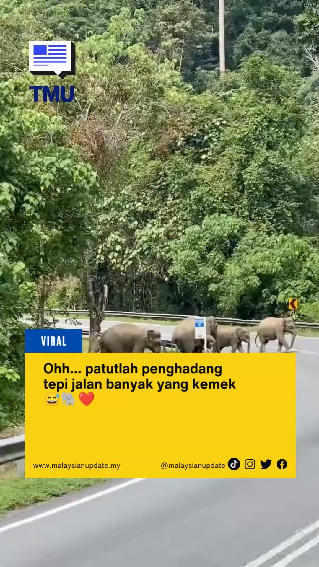 @Malaysian Update