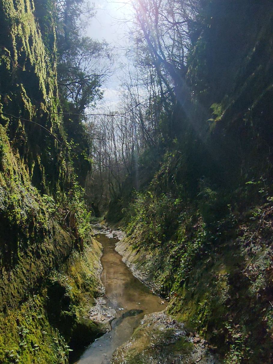 @Fark&euml; Tiran&euml;
