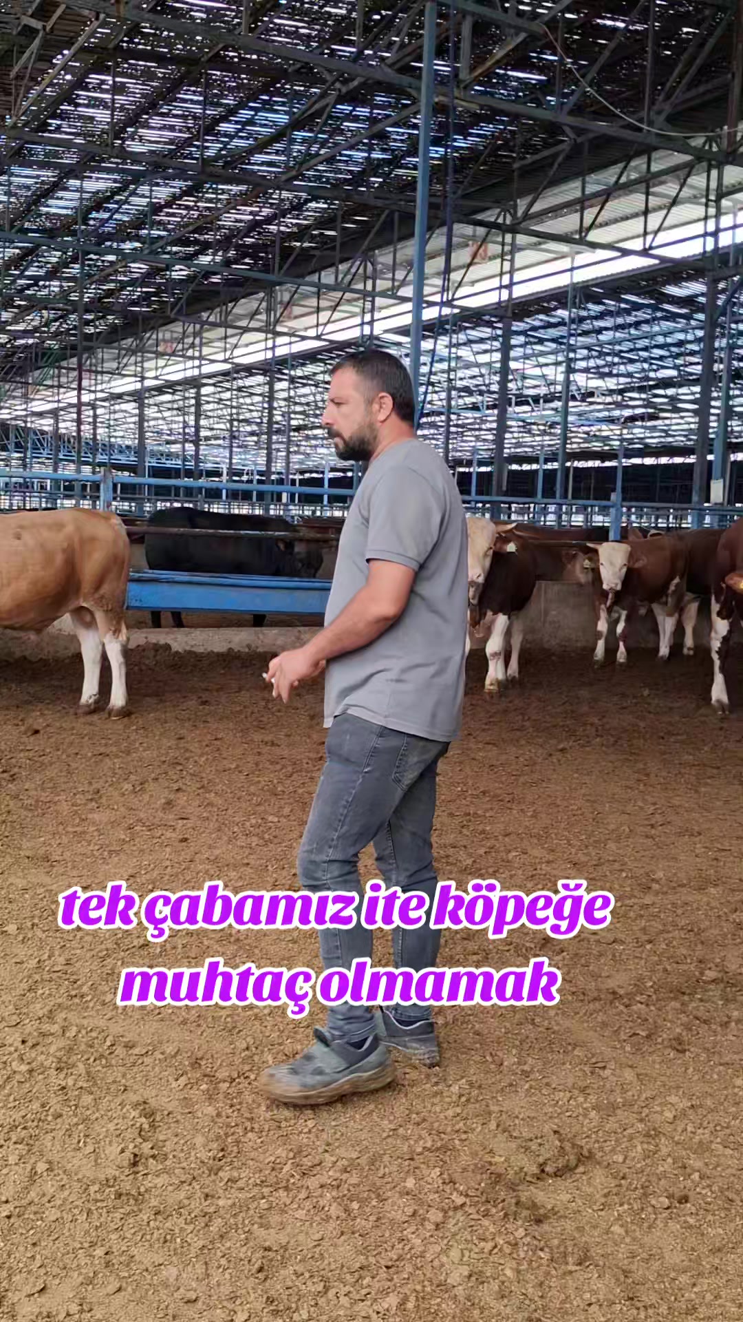 @fenomen besici