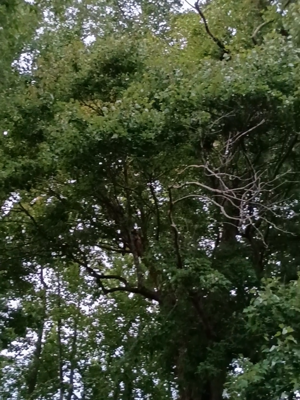 @🌑🌪️🌧️kay🌧️🌪️🌑