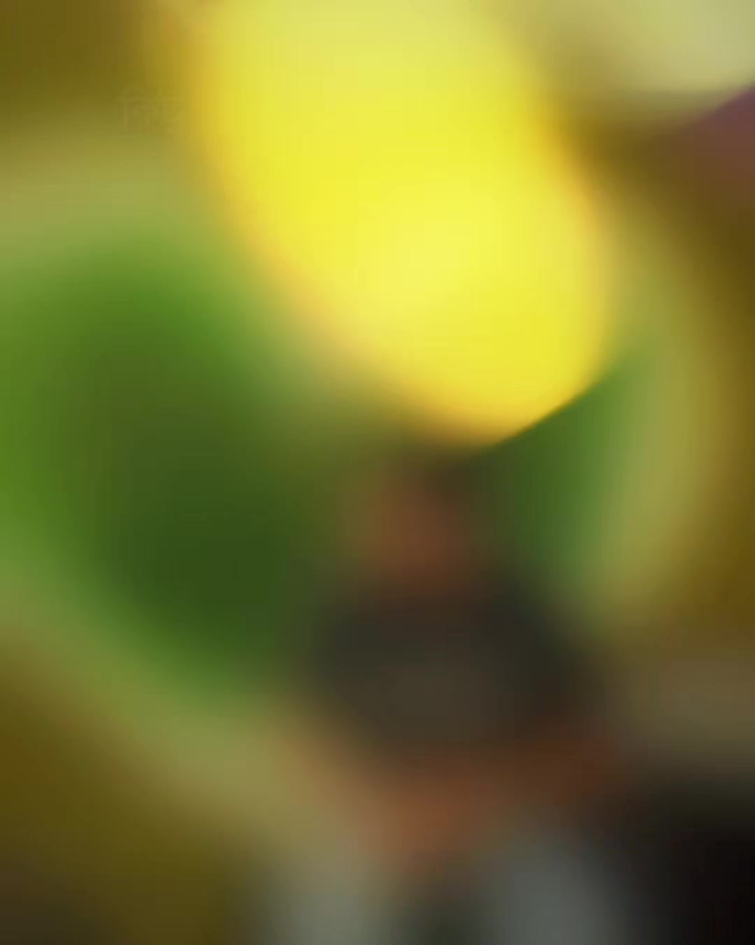 @Z A F O R