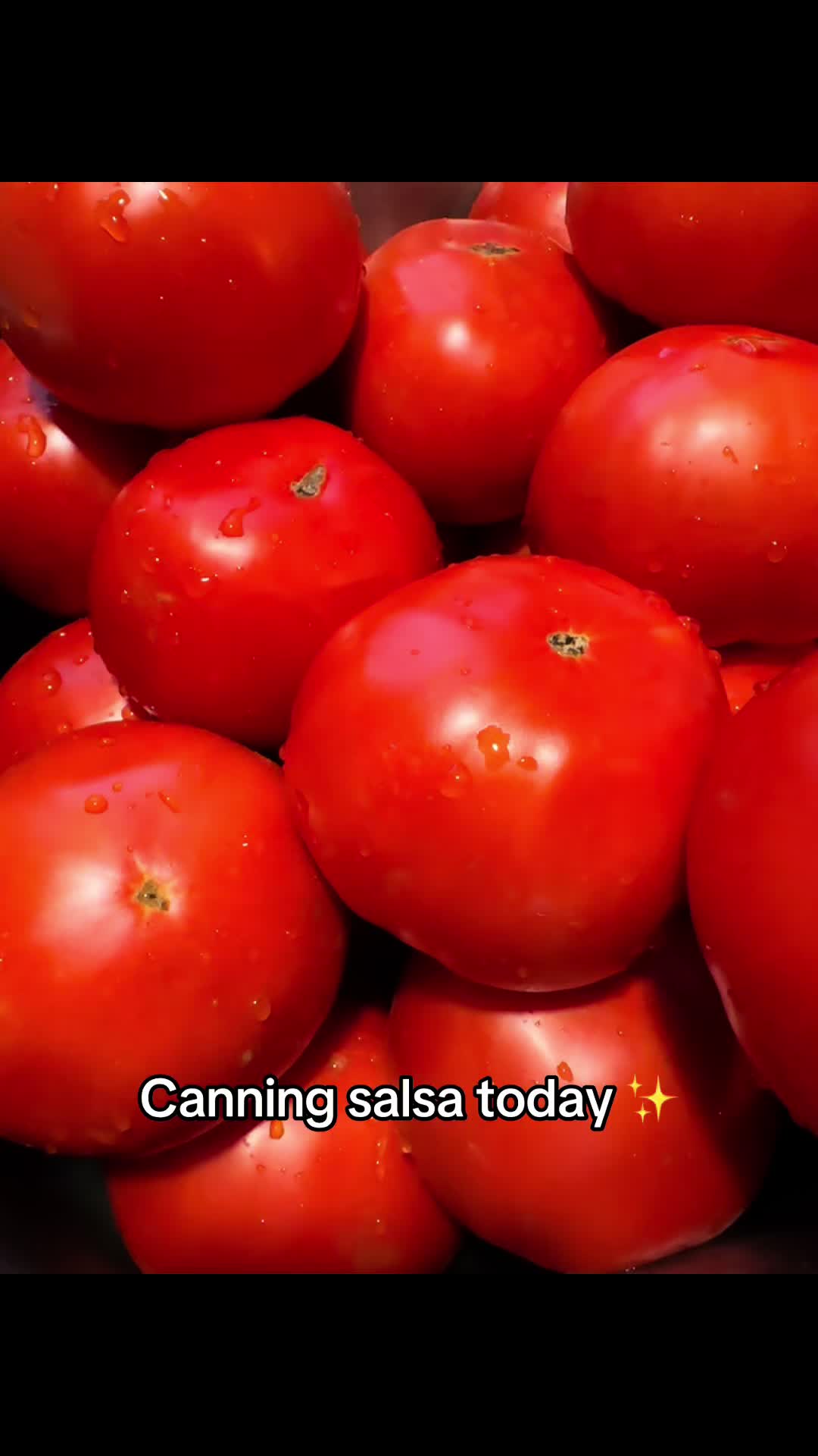 @sistagal13