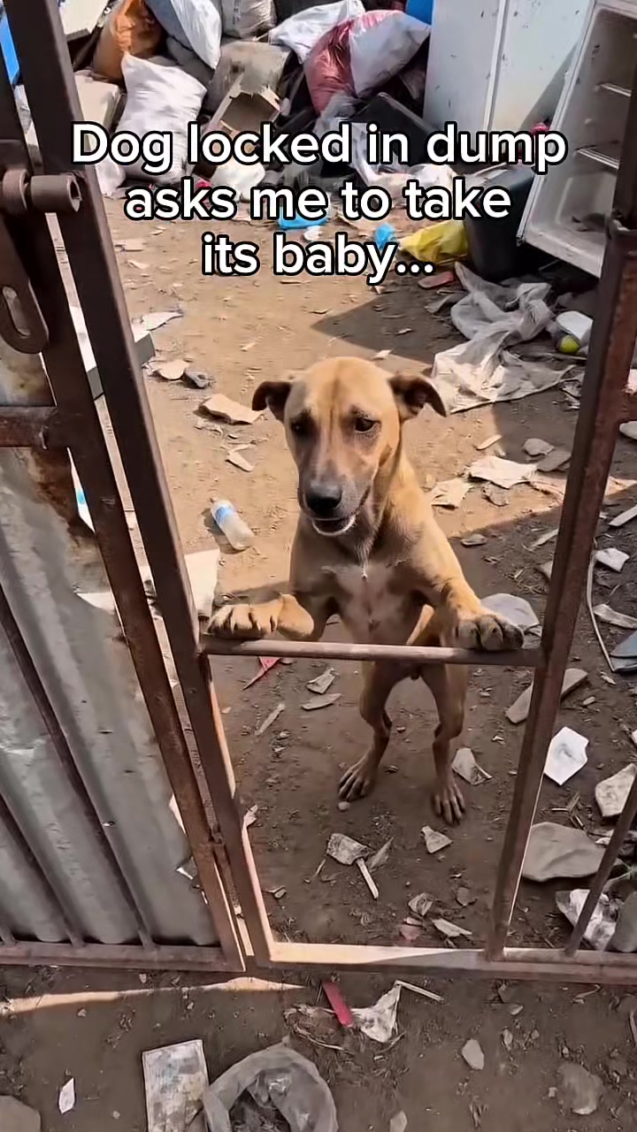 @AJ🦁