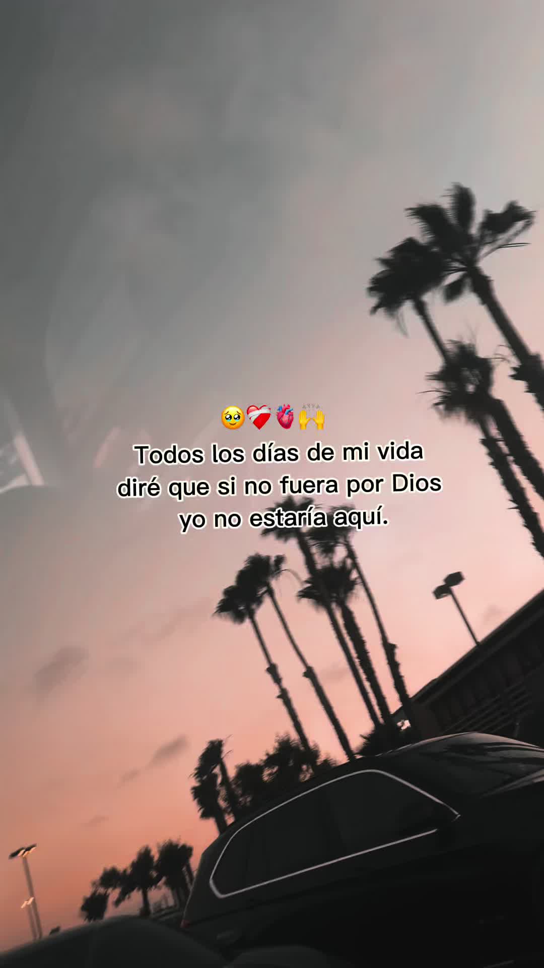 @Vzquezz S&aelig;bino😌😍