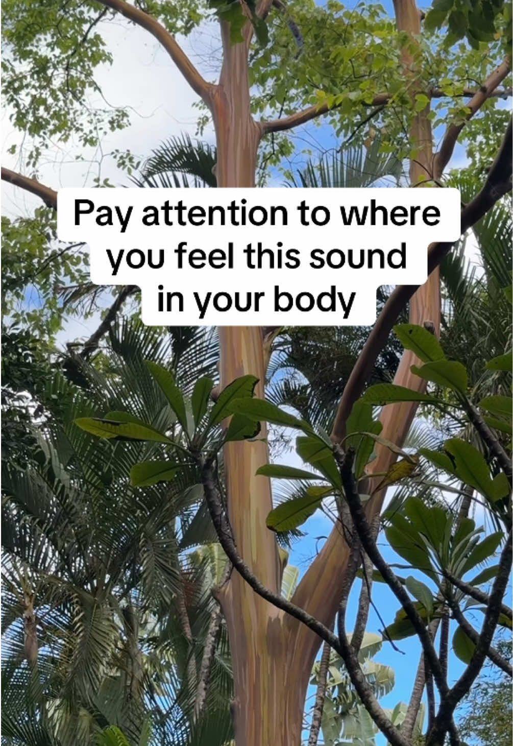 @banahwinn