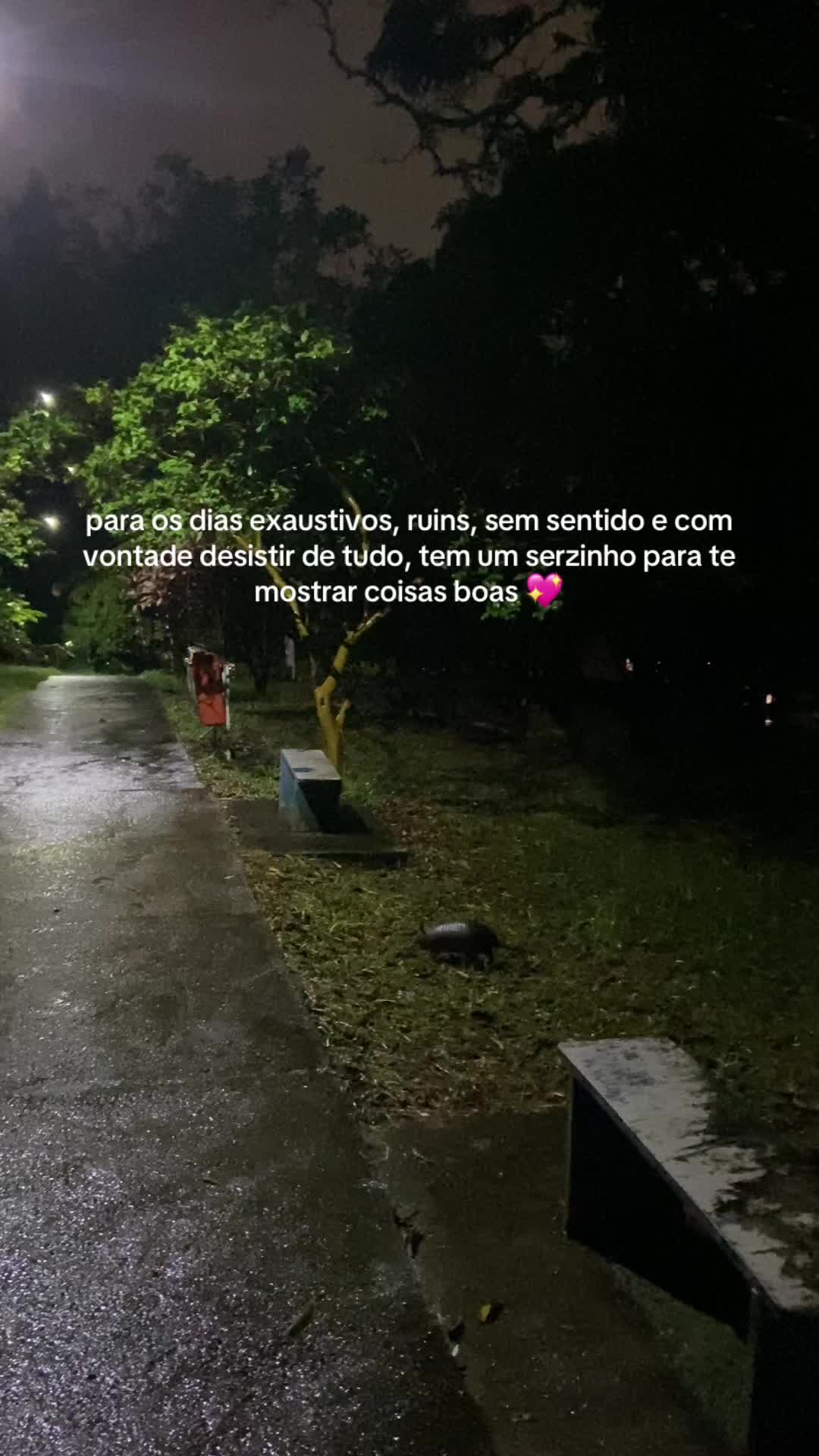 @Ju Nascimento