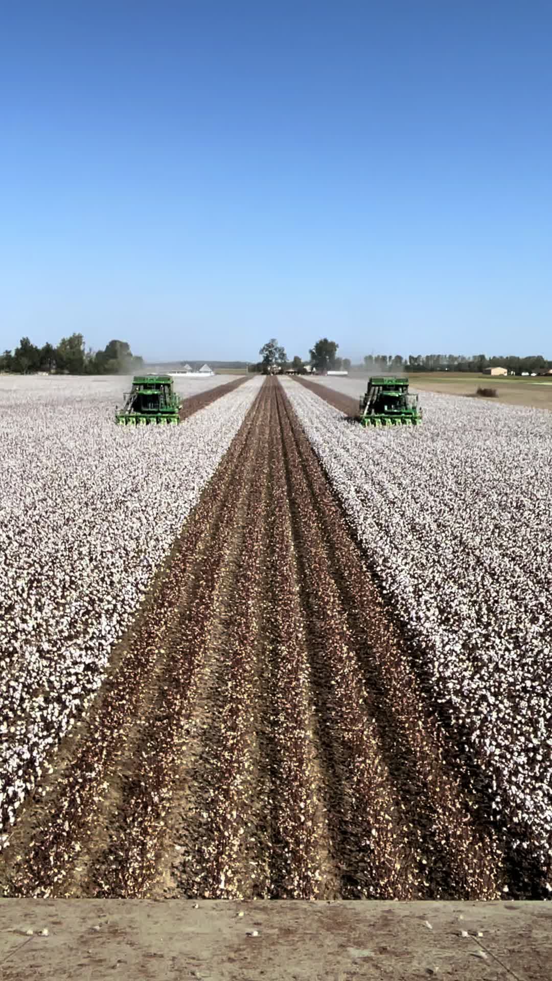 @PTCOTTON