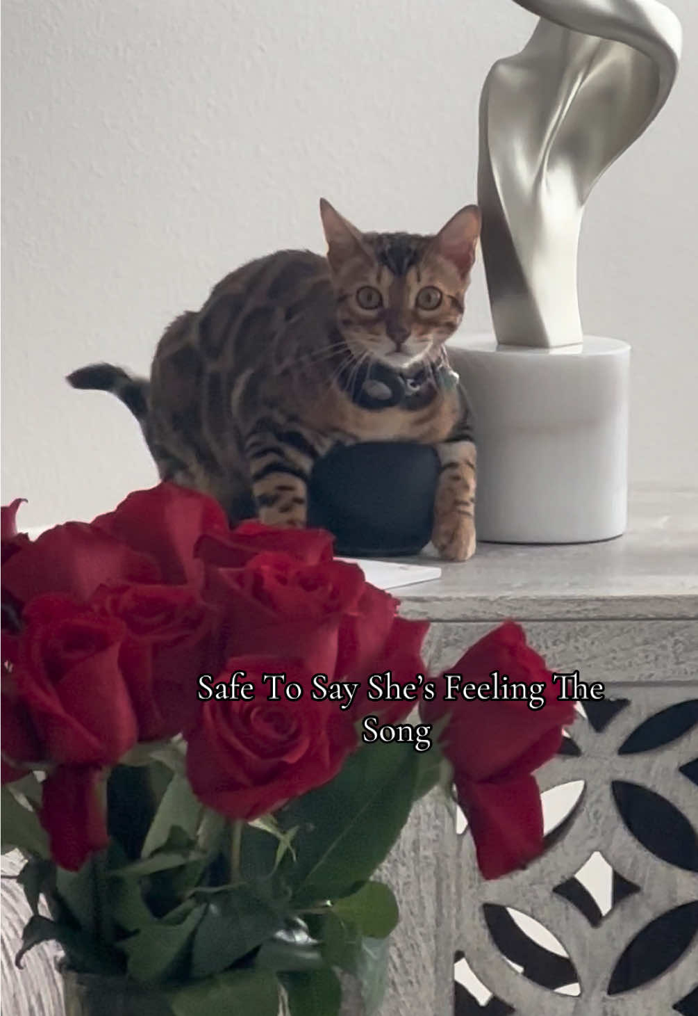 @cleochanelthebengal