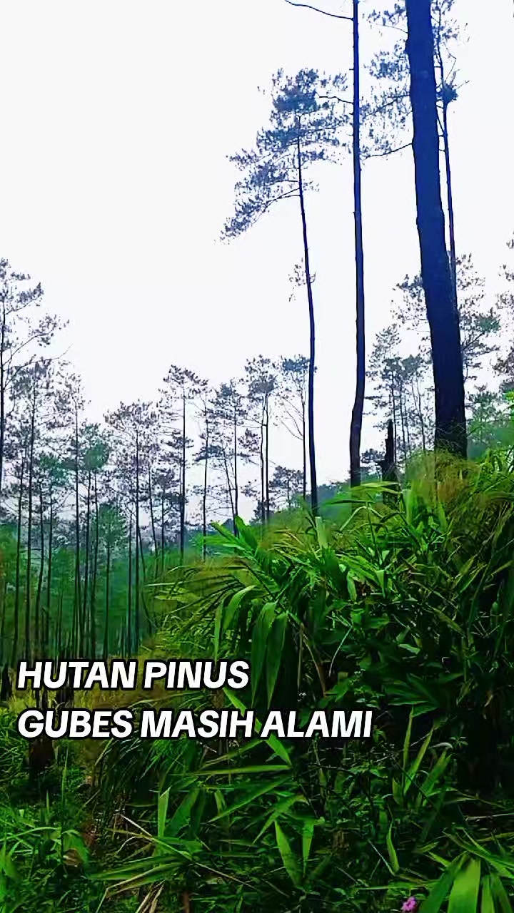 @adk🏷️