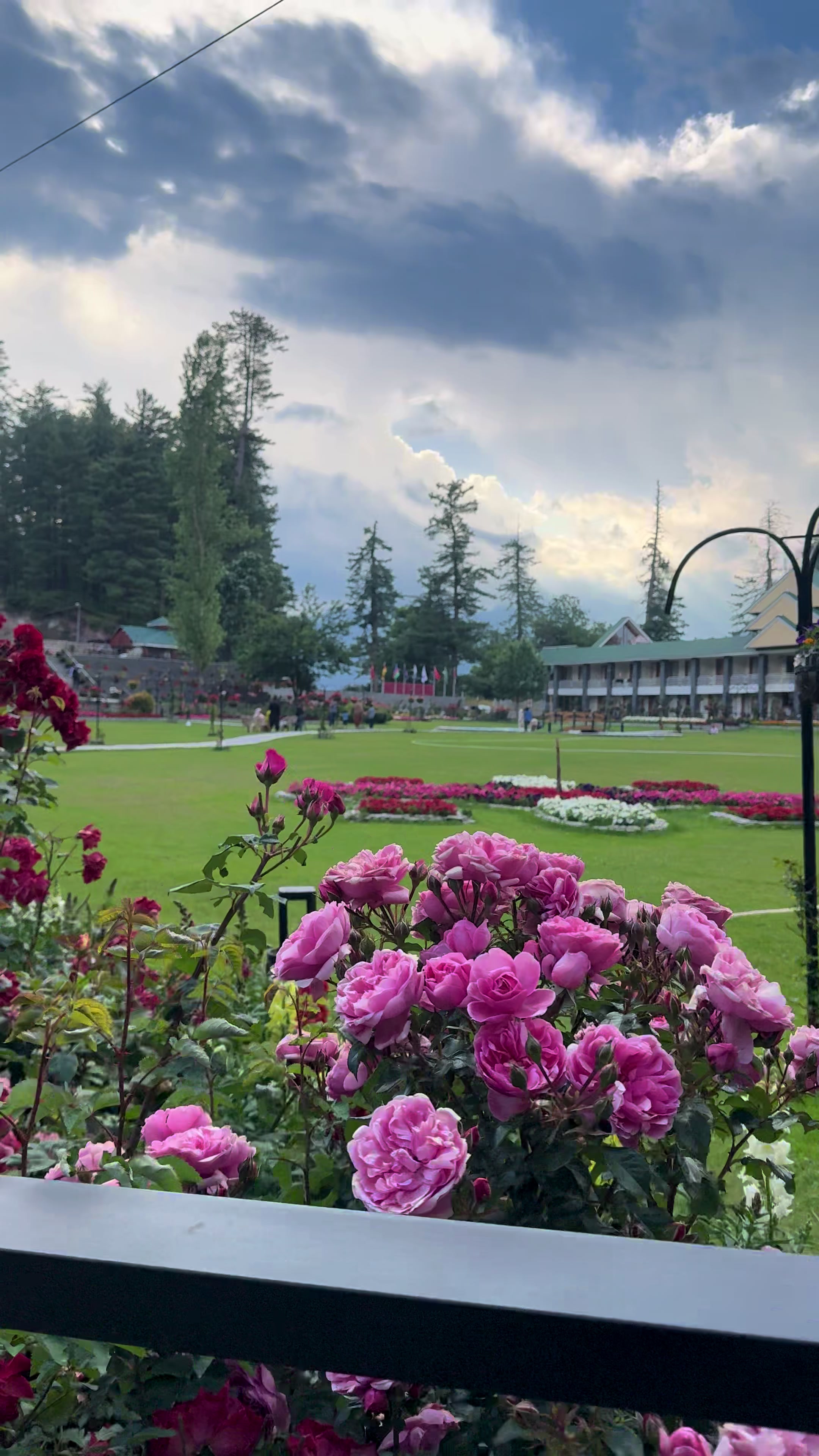 @Shogran Vibes