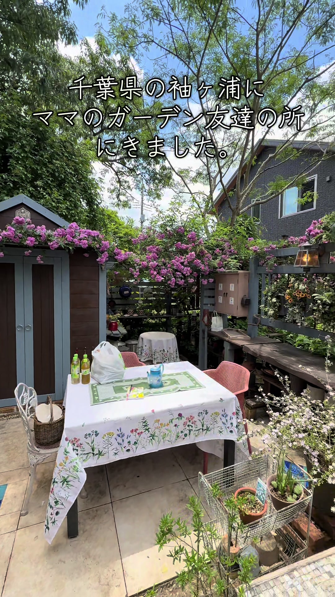 @バムパパ