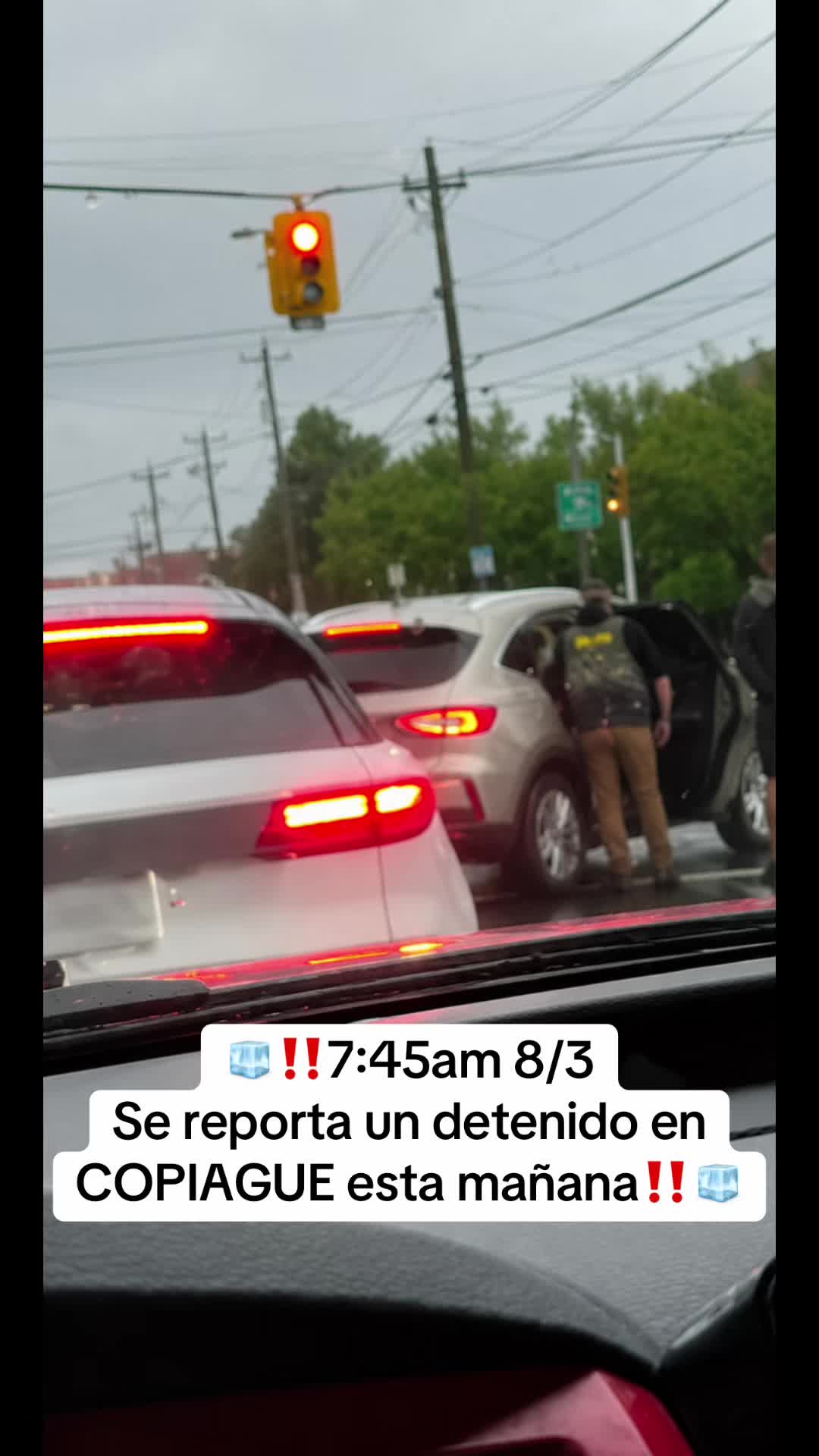 @Salvadore&ntilde;os NY