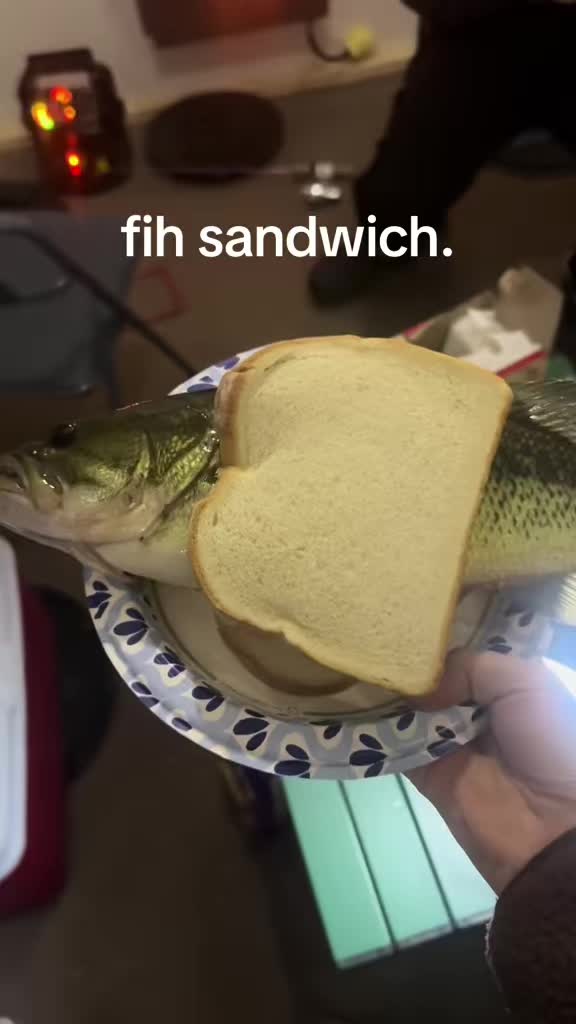 @Bcontent | 🎣🏕️🥘💄