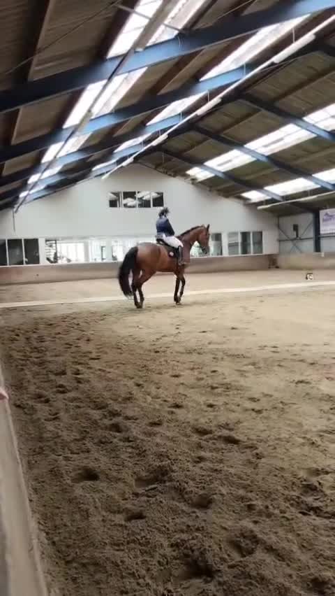 @equi_mandy